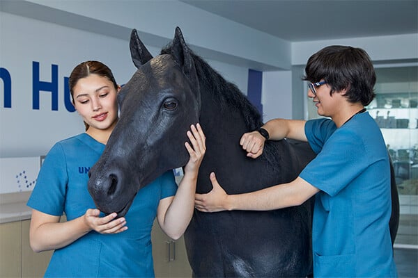 Centro de Simulación en Medicina Veterinaria y Zootecnia