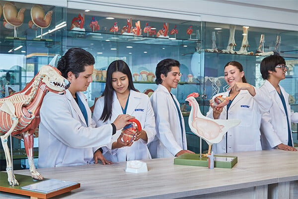 Centro de Simulación en Medicina Veterinaria y Zootecnia